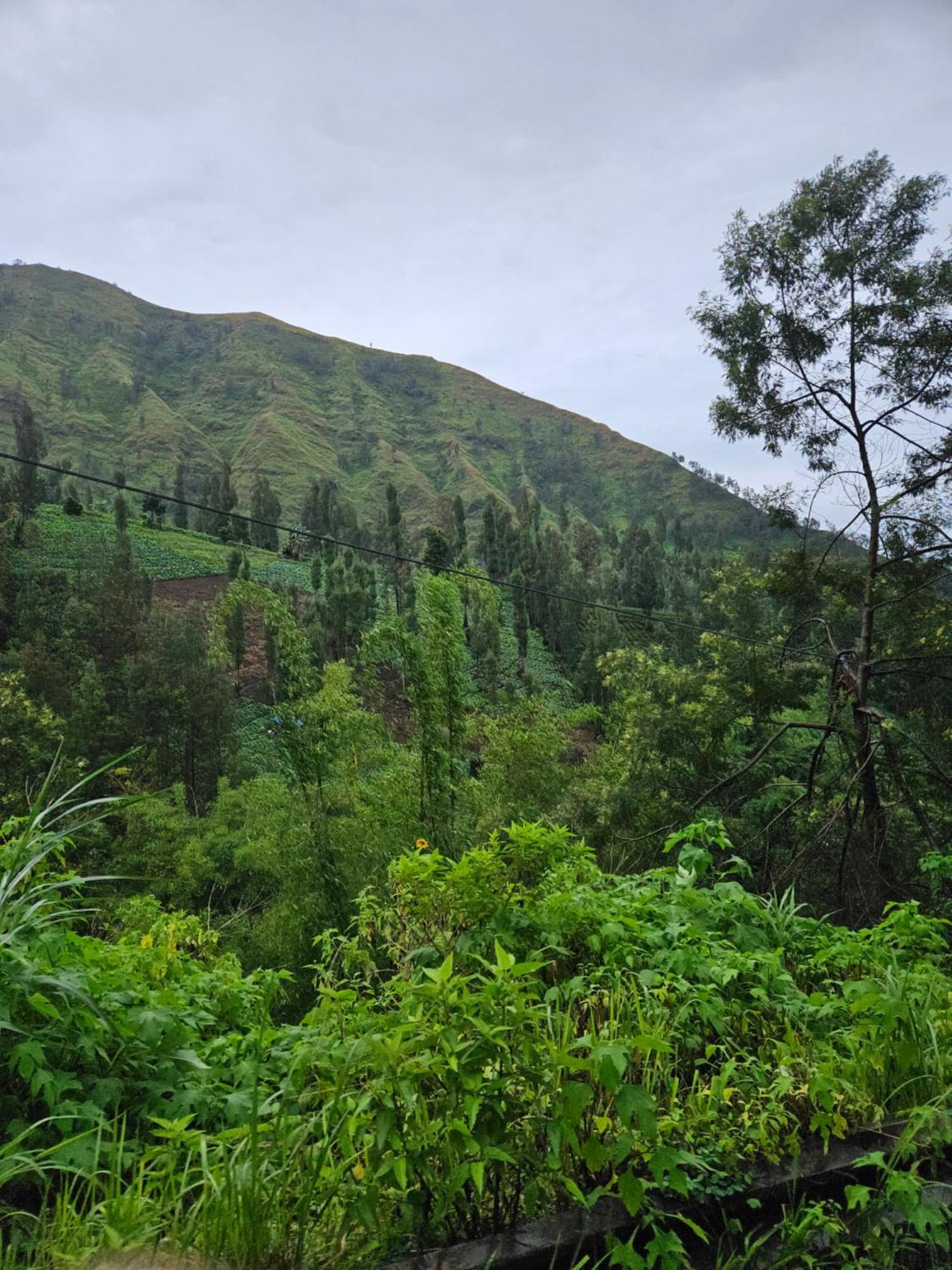 Arum Bromo Villas Ngadisari Экстерьер фото
